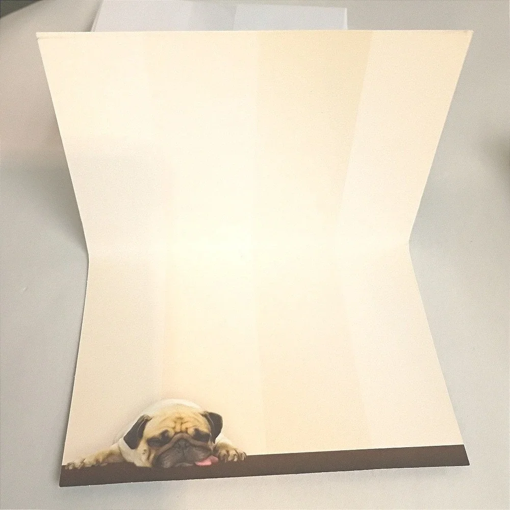 Crown Point Graphics Sleeping Pug Puppy Boxed Note Cards Set with Envelopes‎ NEW